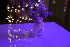 mariangela-de-la-barra-weddingplanner-stephany